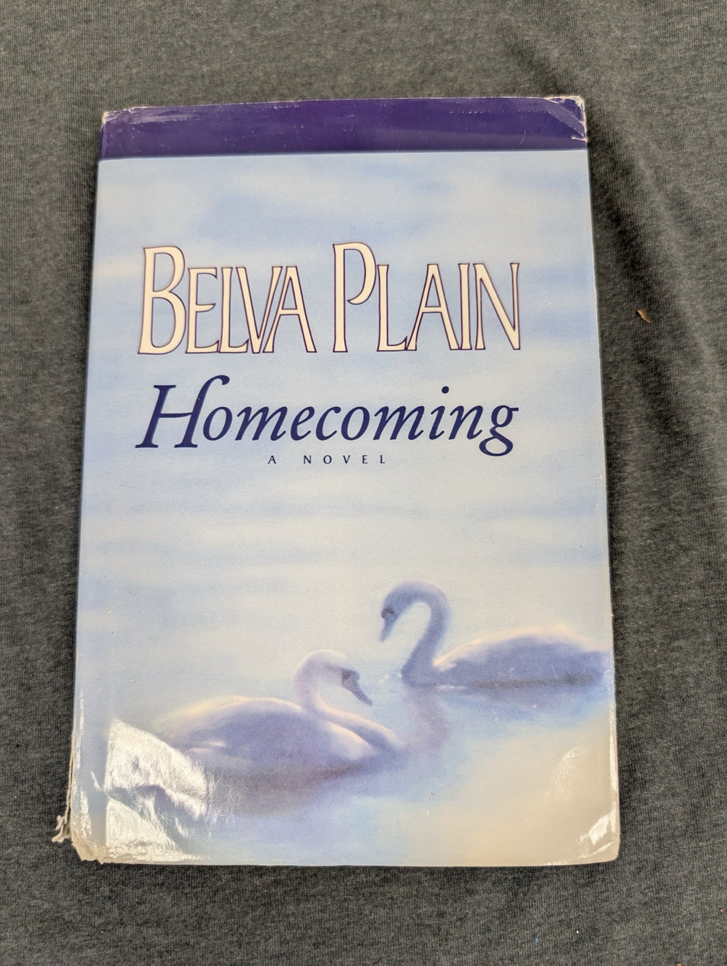 Homecoming by Belva Plain - Vintage Paperback Romance Novel
