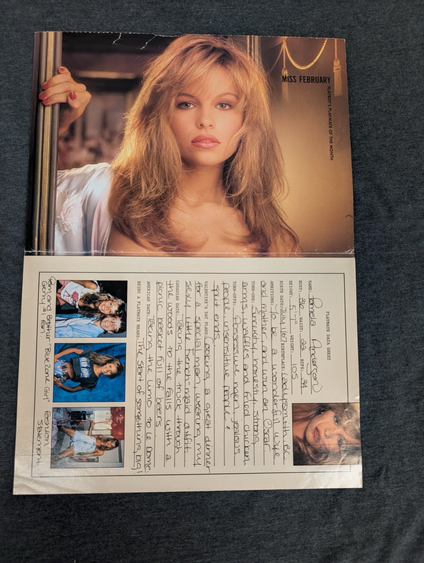 Pamela Anderson Miss February 1990 Playmate Data Sheet - Vintage Pinup Page
