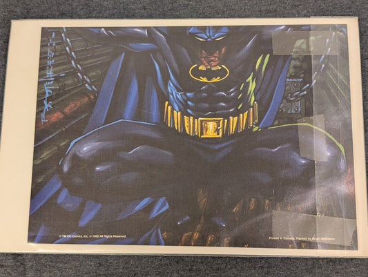 1992 DC Comics Batman Art Print by Brian Stelfreeze "The New Batman"