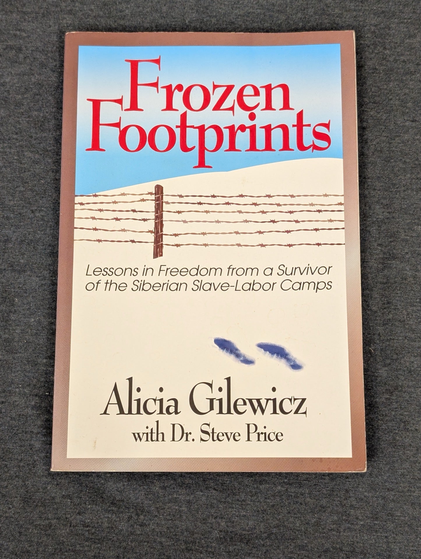 Cover of Frozen Footprints by Alicia Gilewicz showing a barbed wire fence and footprints.