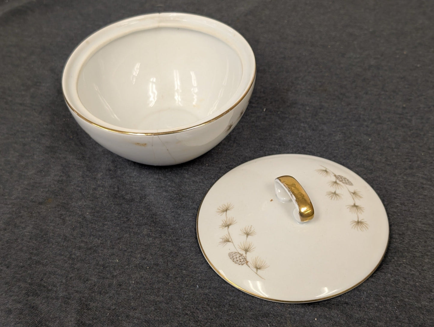 Inside view of Mikasa Sequoia Sugar Bowl showing base crack and lid