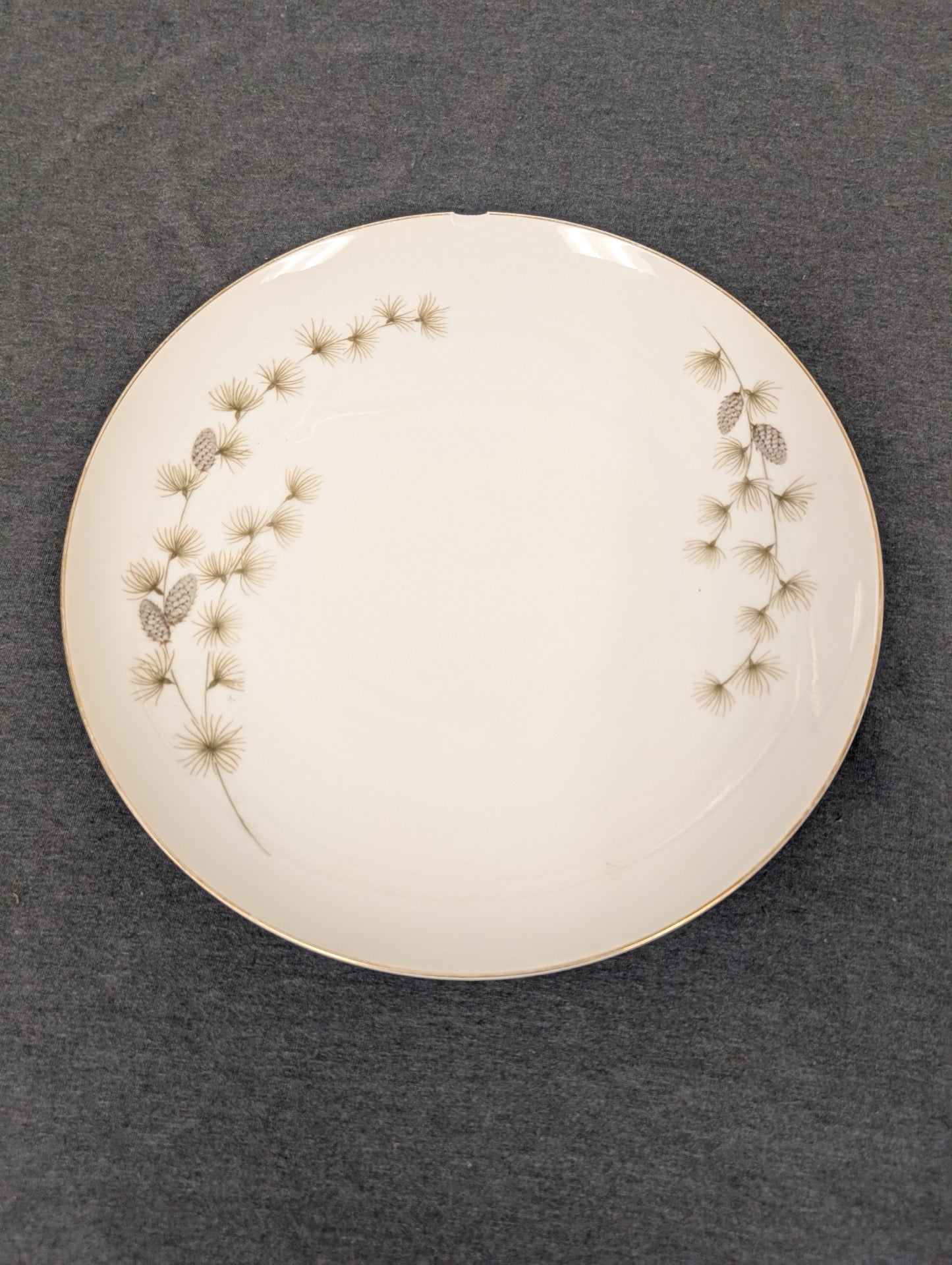Front of Mikasa Sequoia 6141 plate showing pinecone pattern and top edge chip