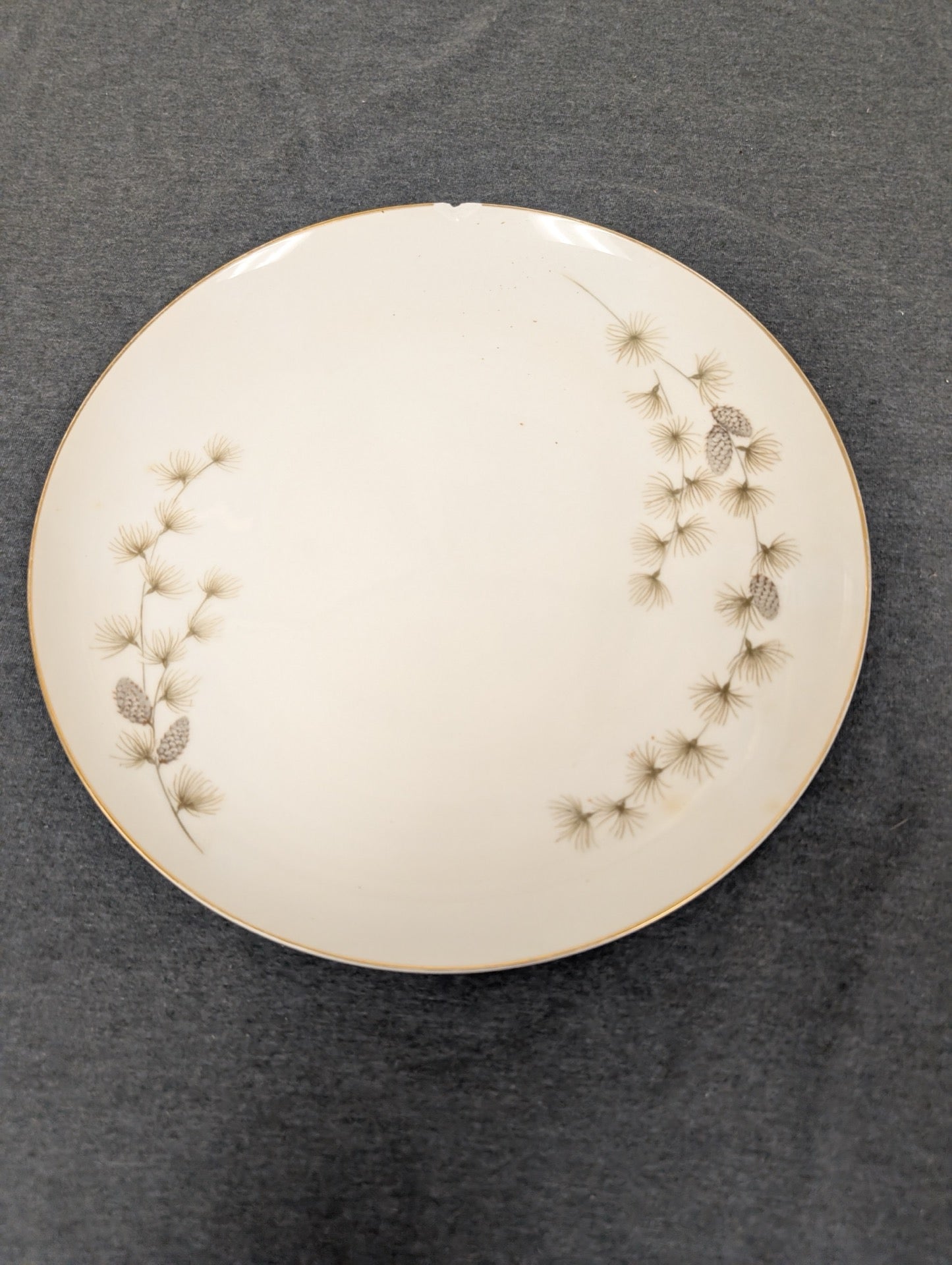 Front of Mikasa Sequoia 6141 plate with top edge chip and pinecone design