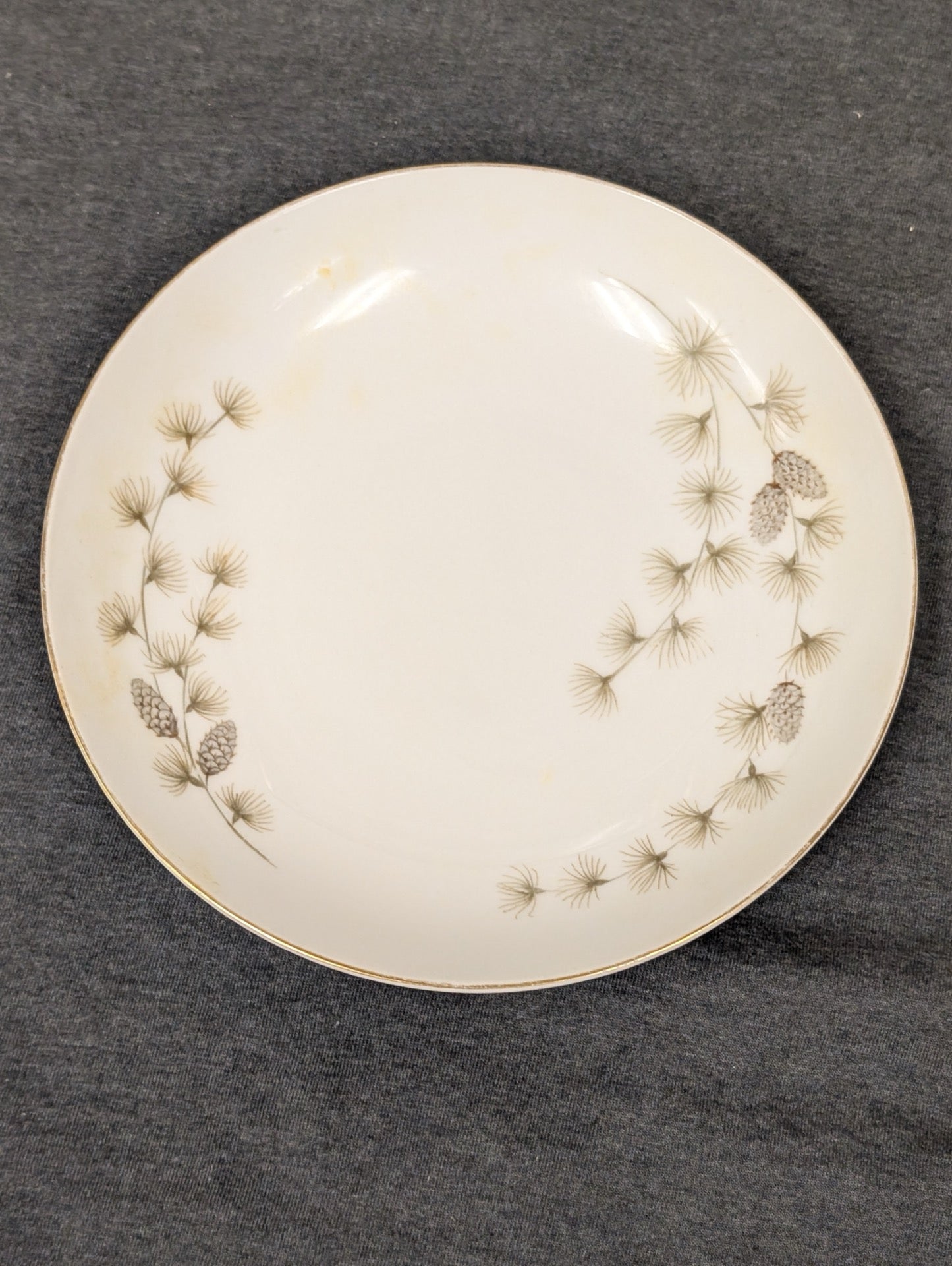 Front of Mikasa Sequoia 6141 plate showing yellow discoloration spots