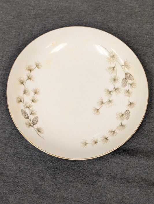 Front of Mikasa Sequoia 6141 plate showing yellow discoloration spots