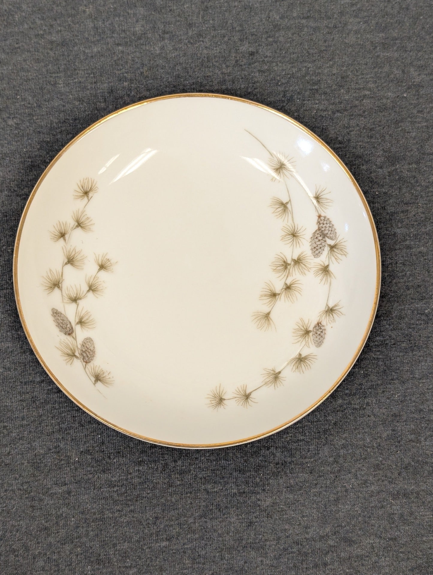 Front view of Mikasa Sequoia plate with pine needle and pinecone pattern