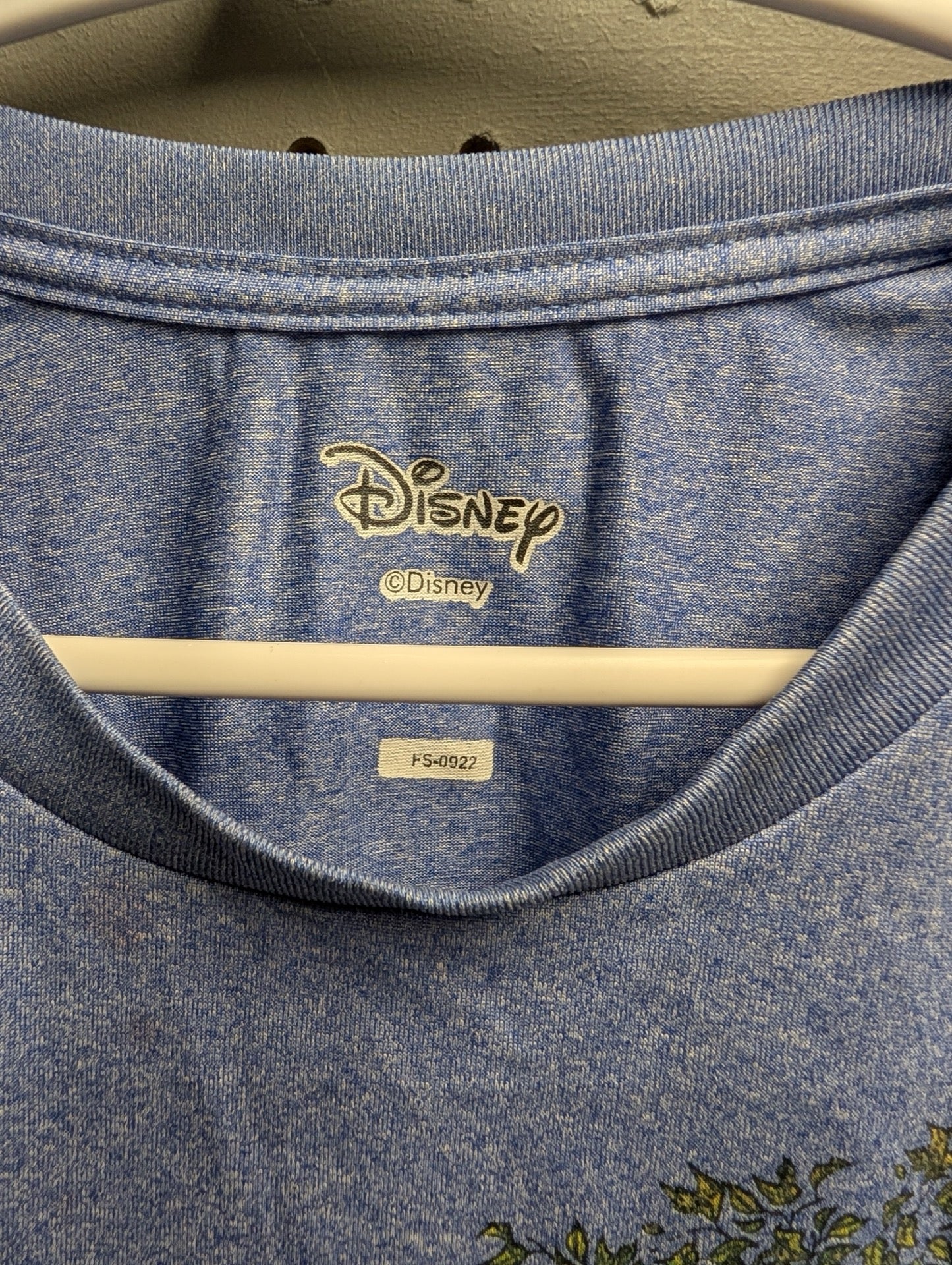 Close up of faded printed Disney tag