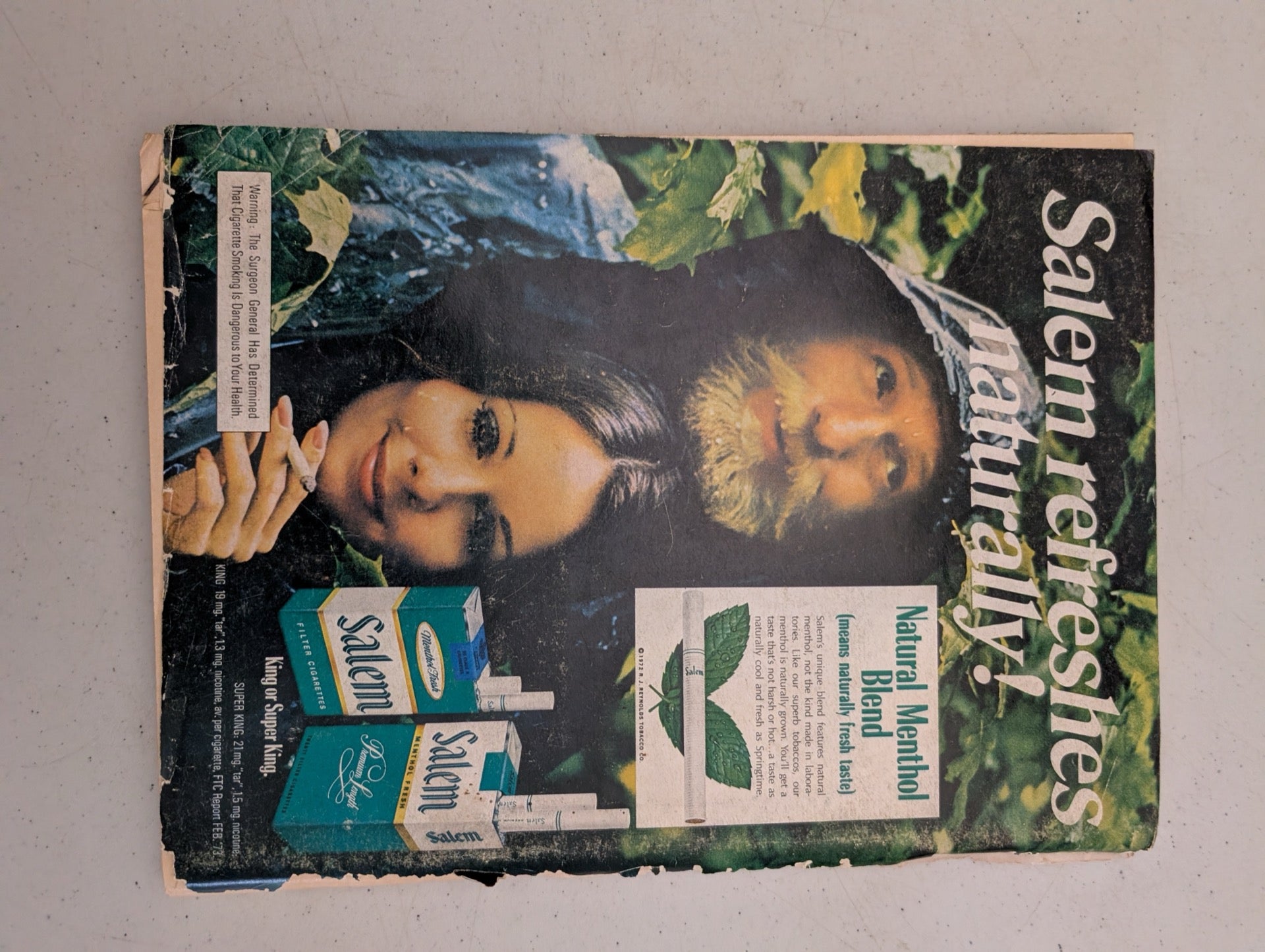 1973 Salem Cigarettes Advertisement in Playboy
