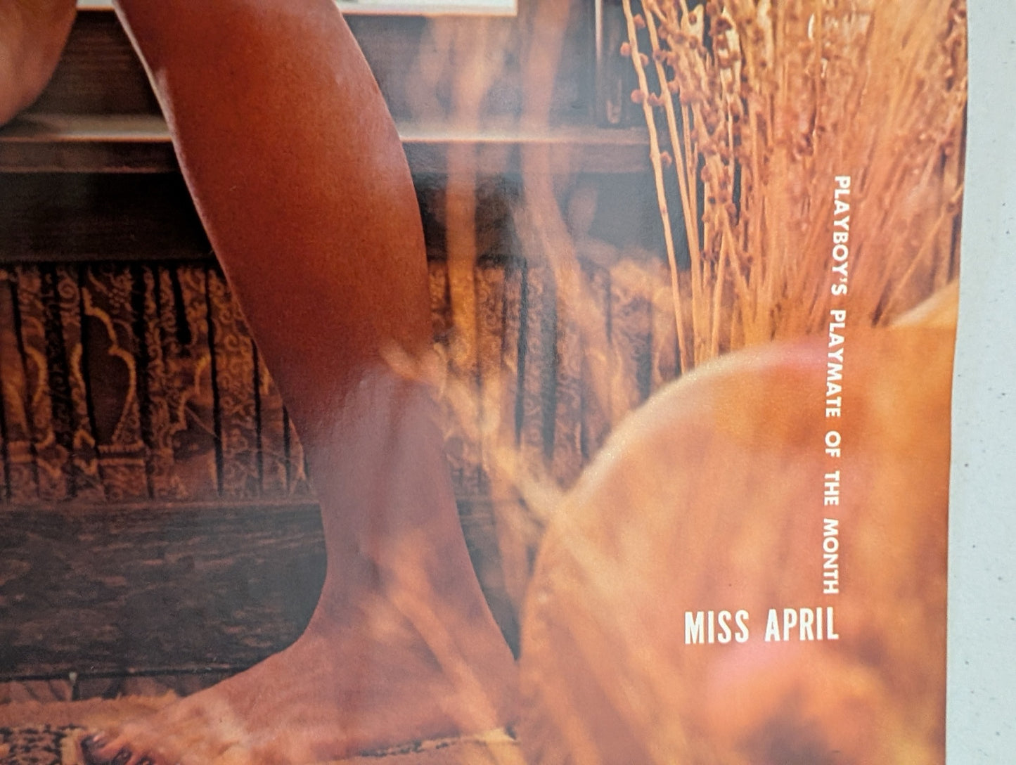 Miss April 1973 Playboy Magazine