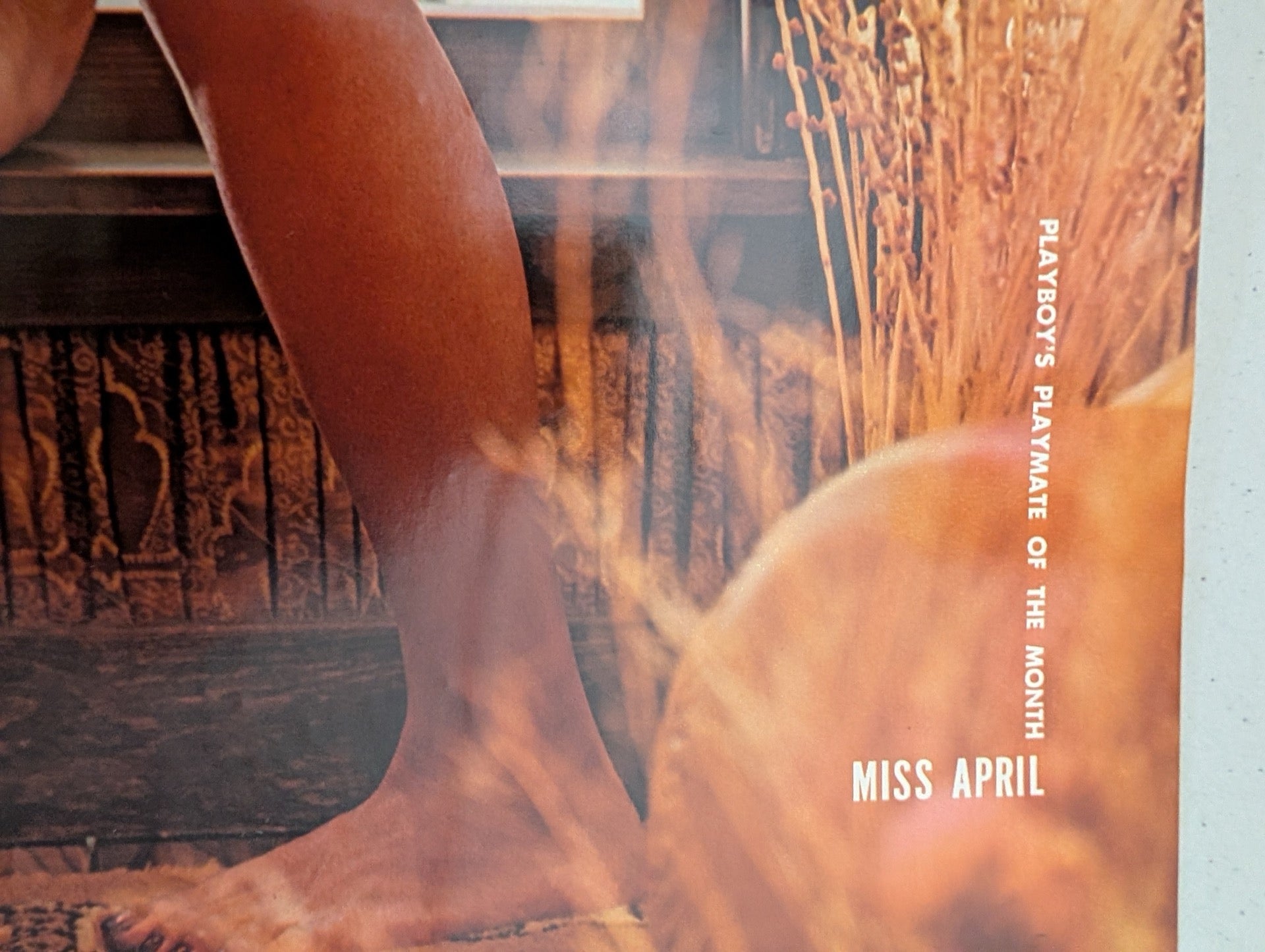 Miss April 1973 Playboy Magazine