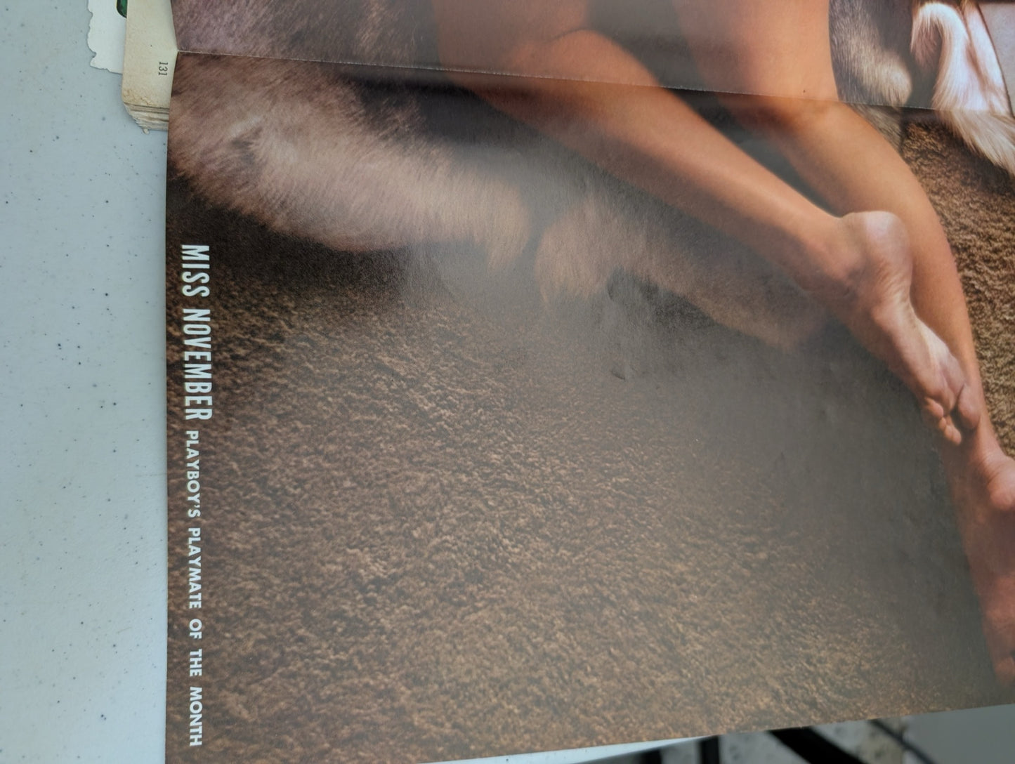 Playboy Miss November 1966 Page