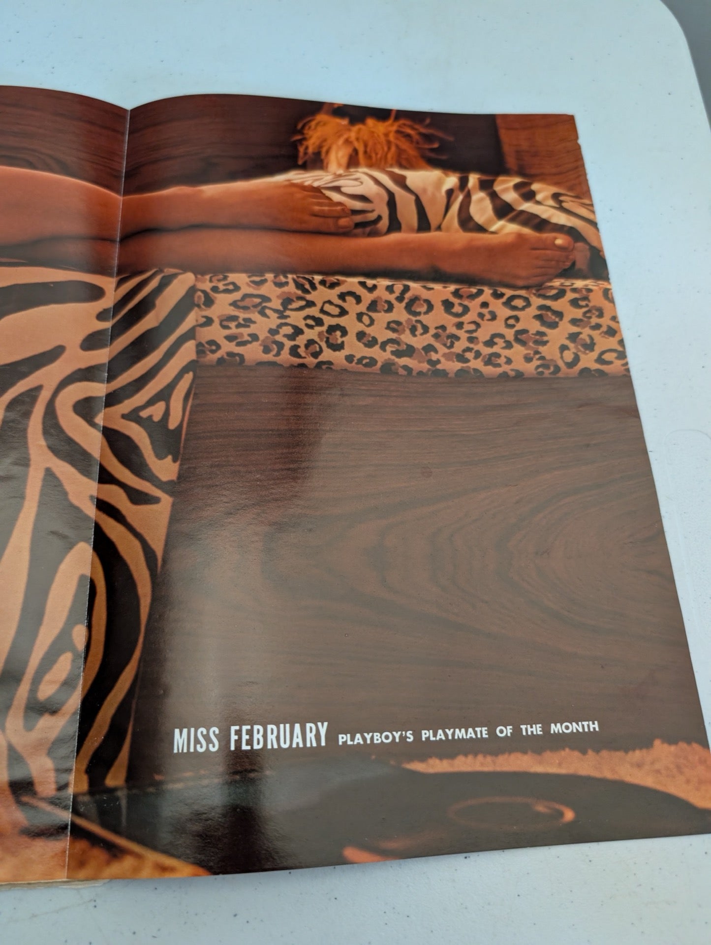 Playboy Miss February 1967 Page