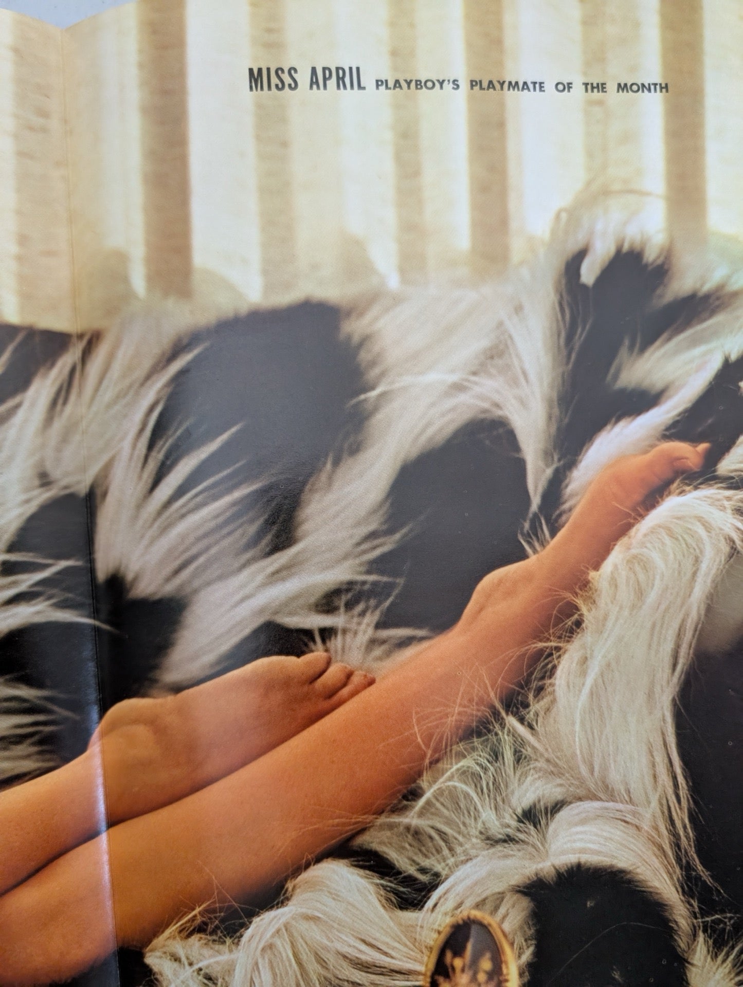Inside centerfold page view of vintage Playboy magazine