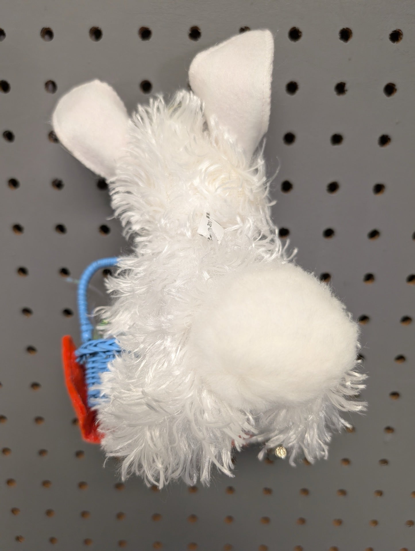 Back view showing fluffy tail