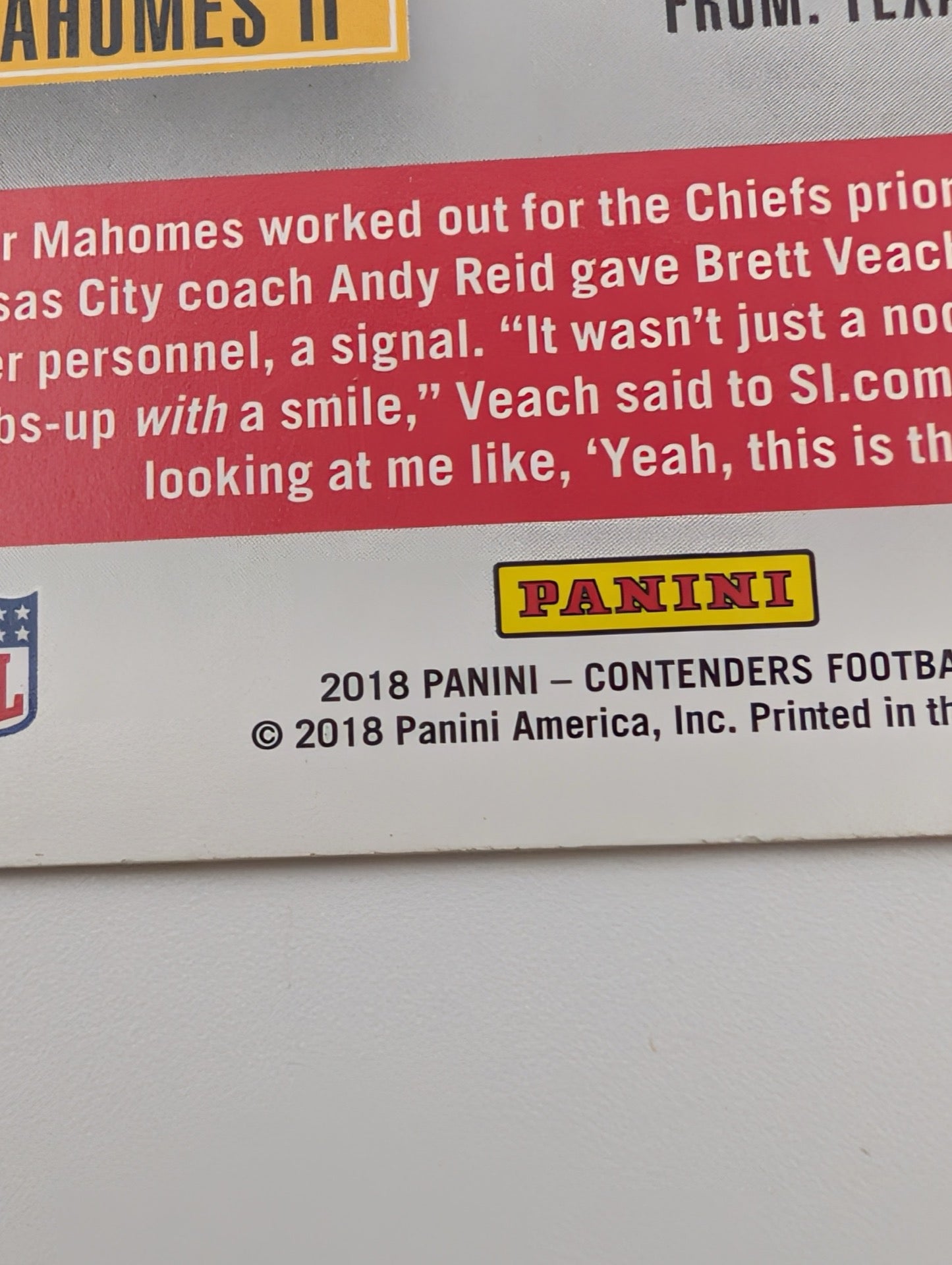 Close up of Panini logo on back of card