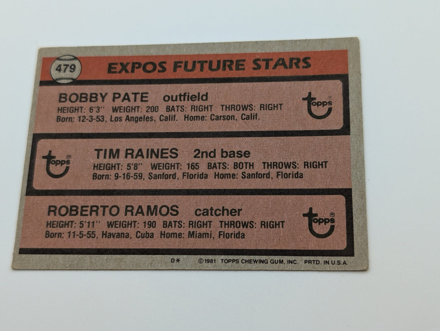 Back of 1981 Topps Tim Raines #479 rookie card