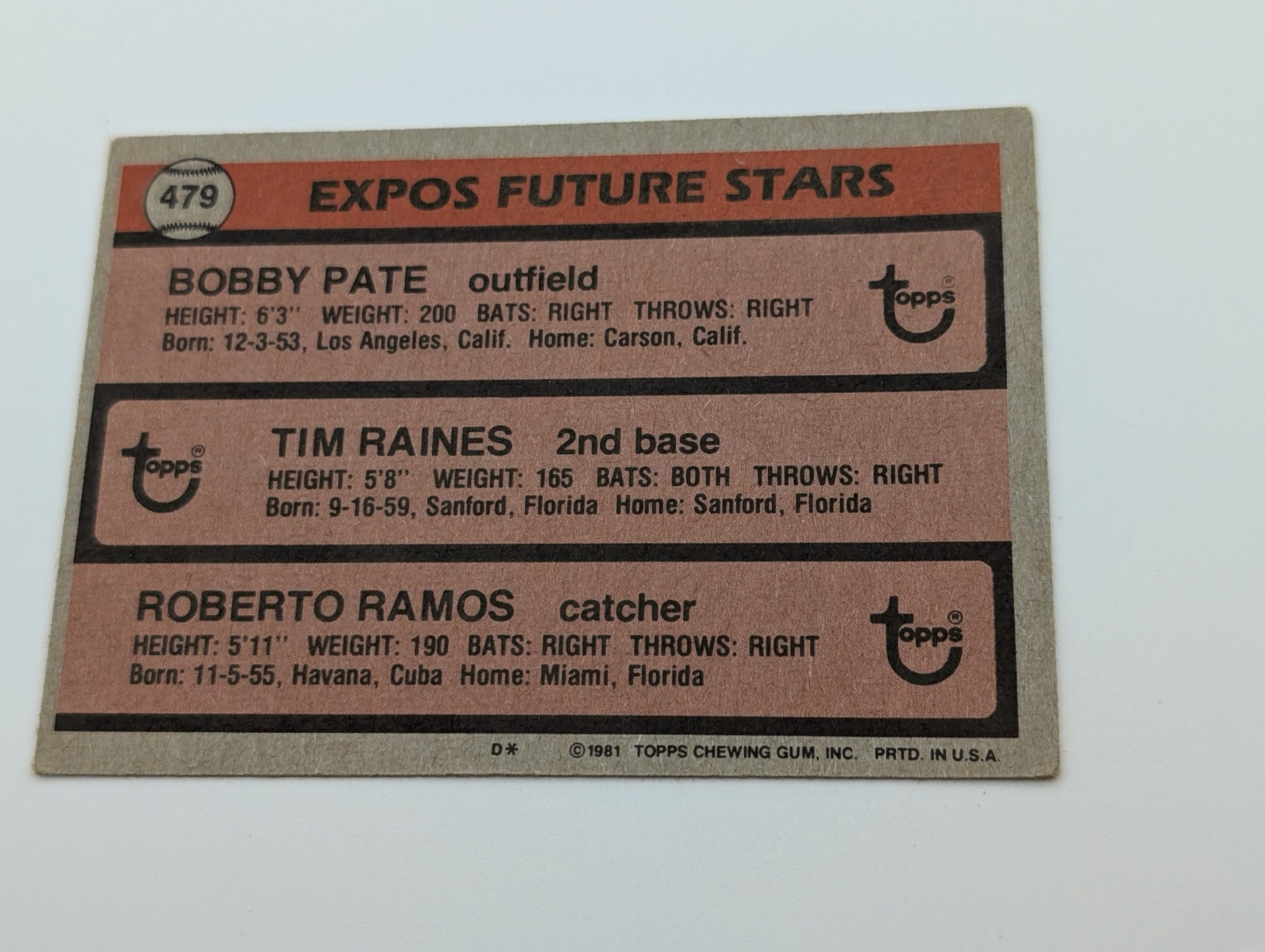 Back of 1981 Topps Tim Raines #479 rookie card