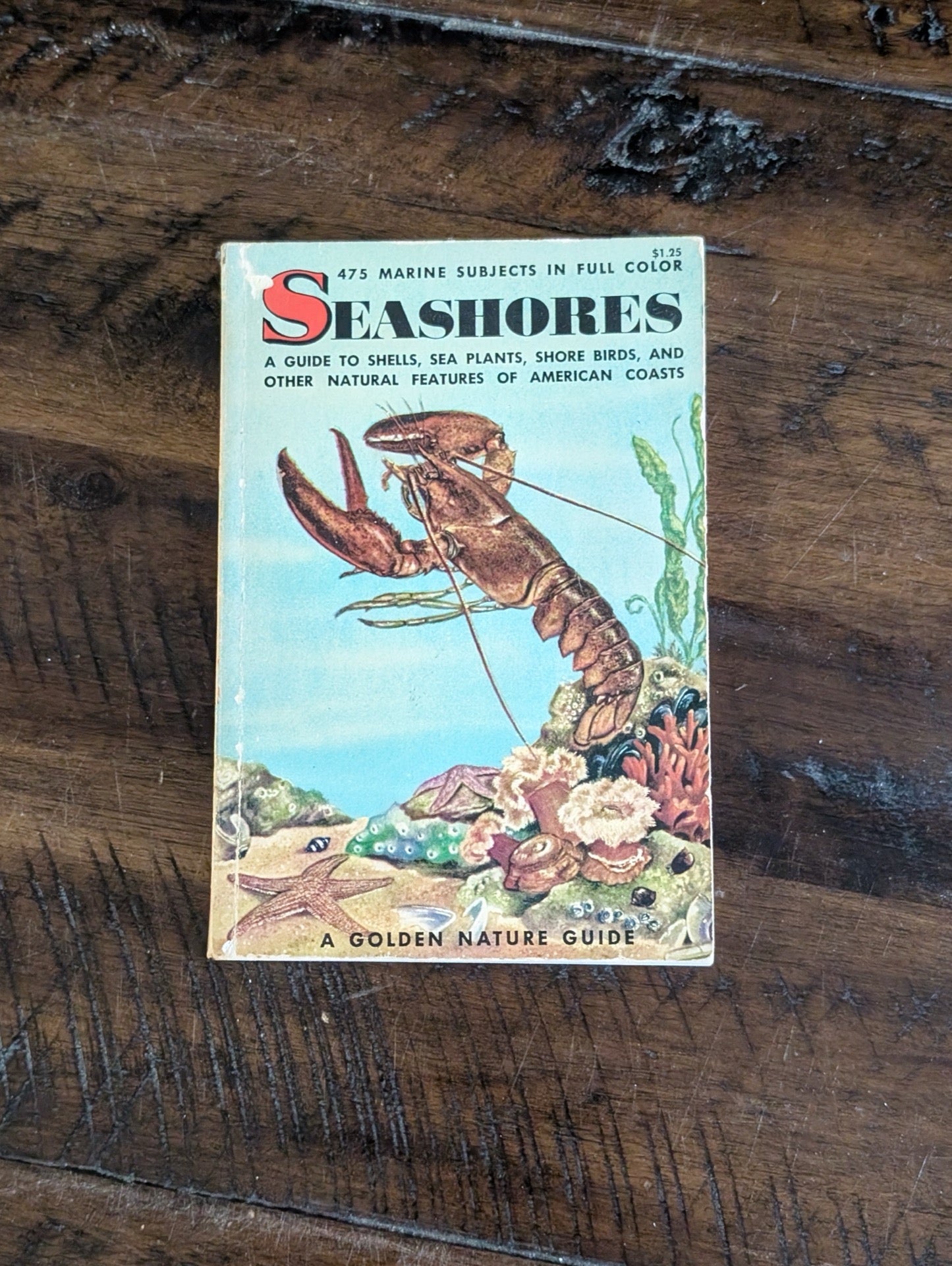 Seashores Golden Guide Front