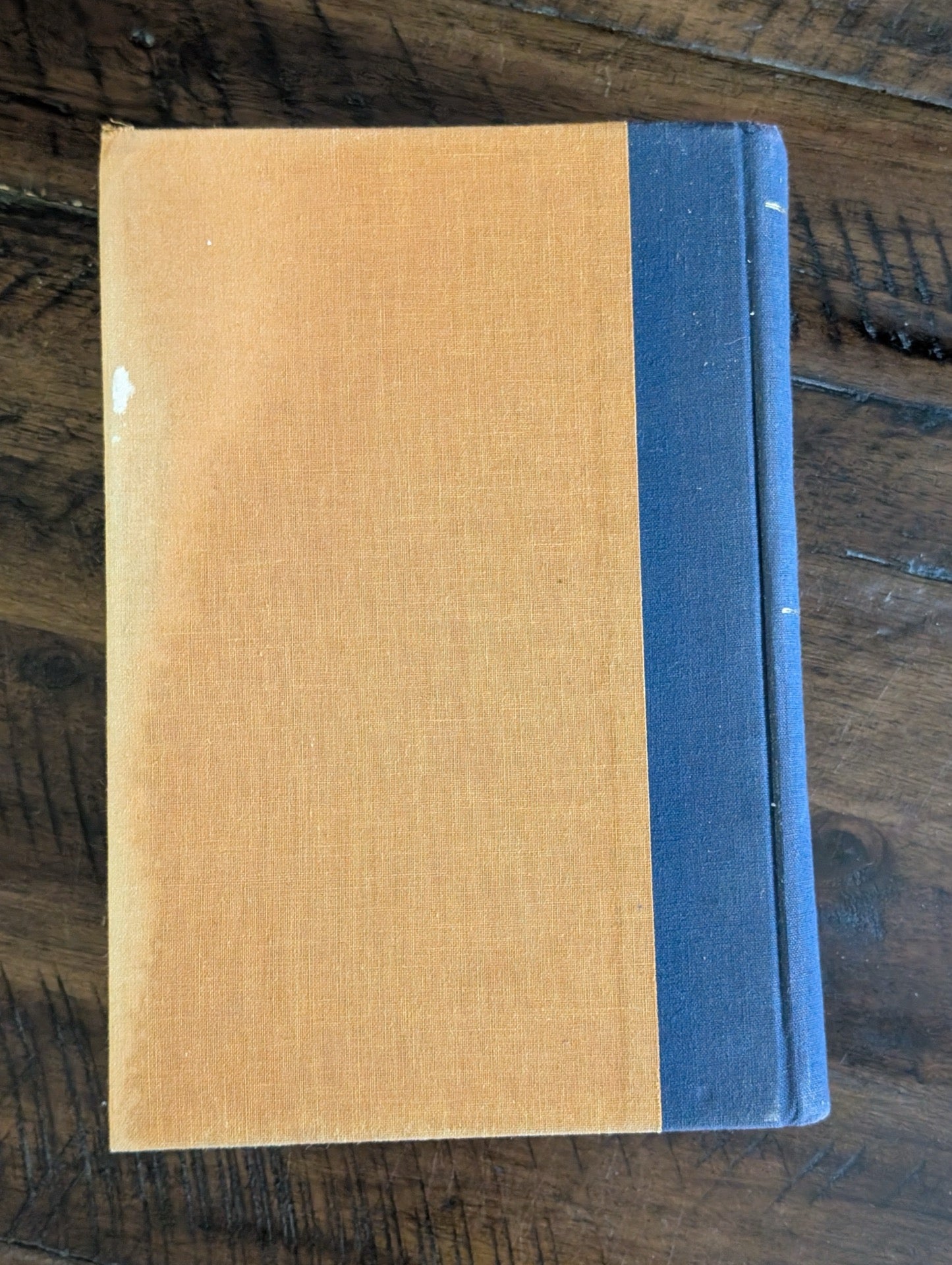 The Northern Voyages Back Cover