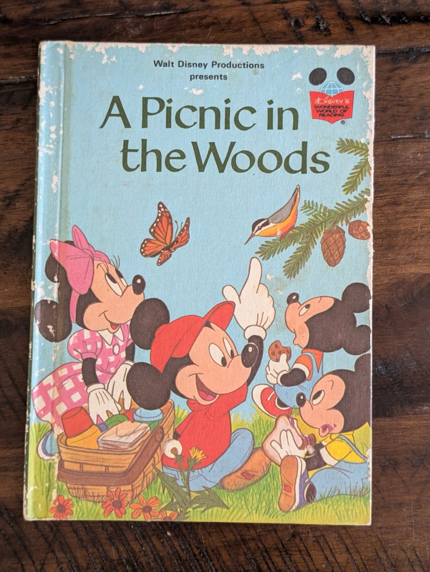 Disney A Picnic in the Woods Book Cover