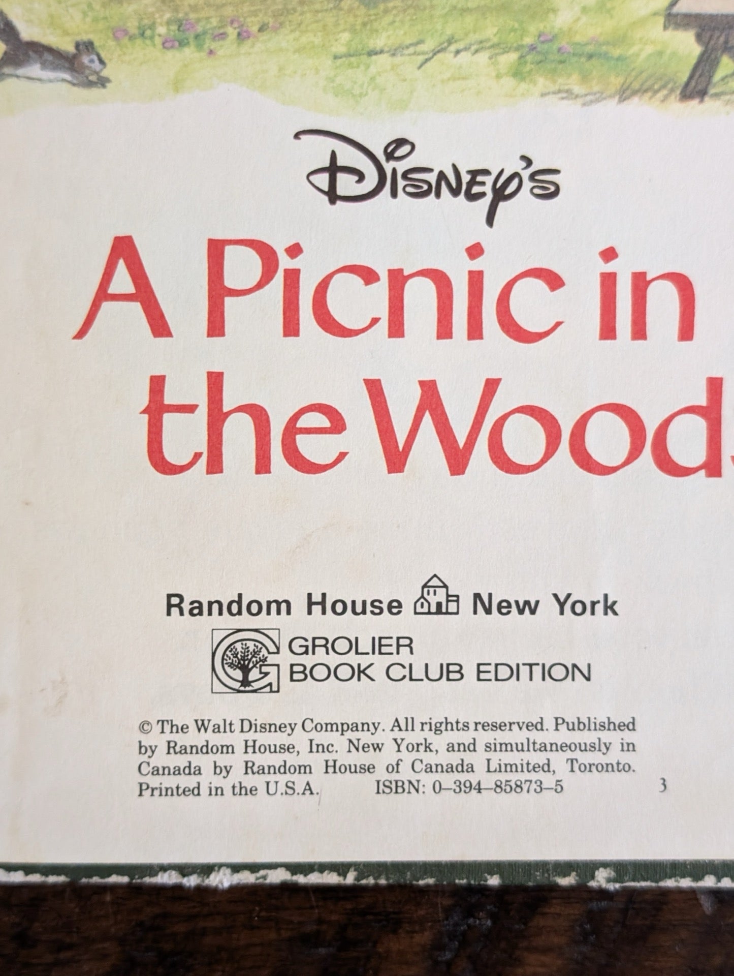 Disney A Picnic in the Woods Copyright Page